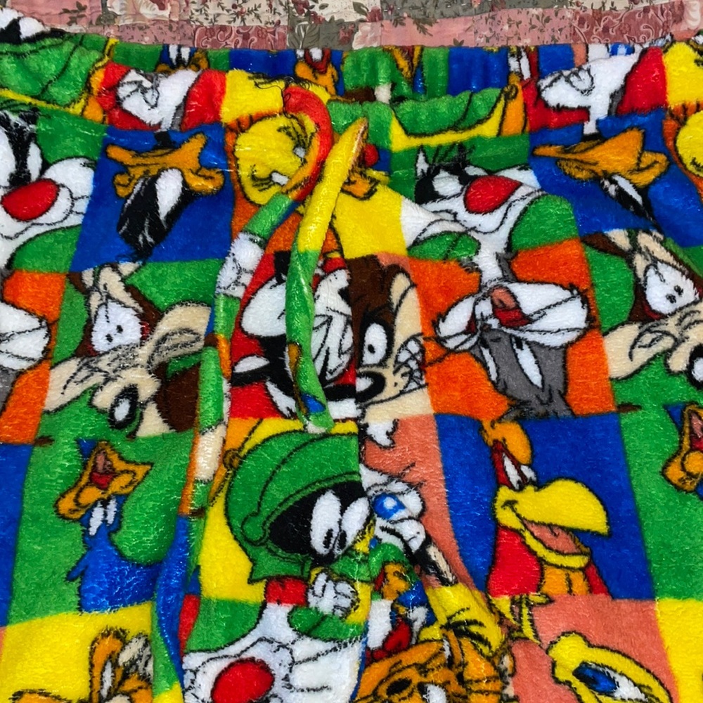 Looney tunes sweats